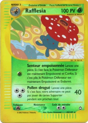 Rafflesia 43/147