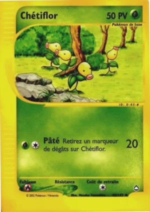 Chétiflor 45/147