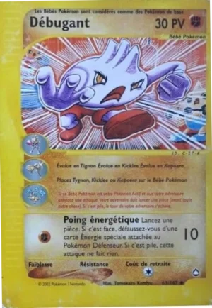 Débugant 63/147