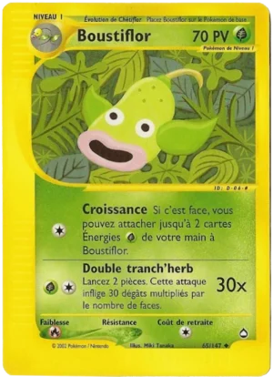 Boustiflor 65/147