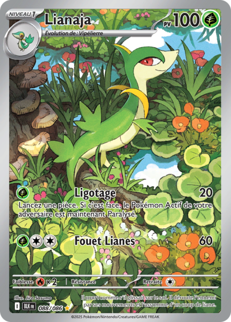 Lianaja 088/086