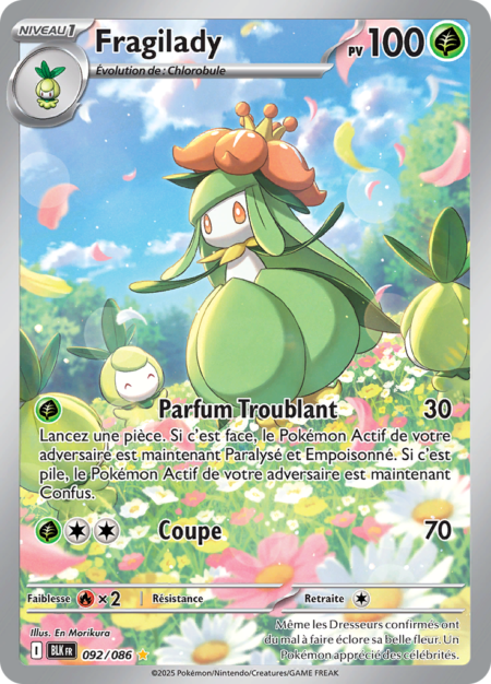 Fragilady 092/086