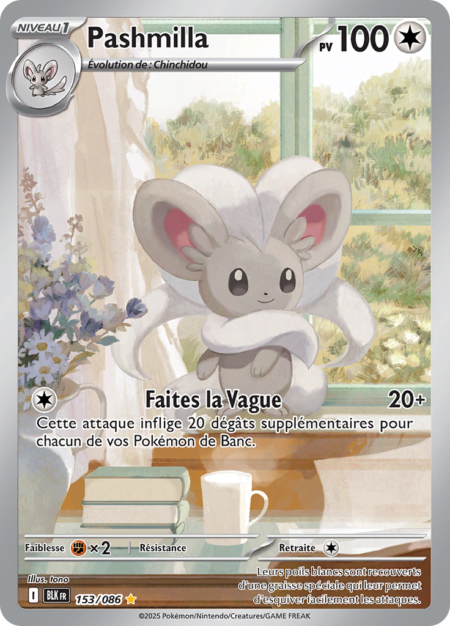 Pashmilla 153/086