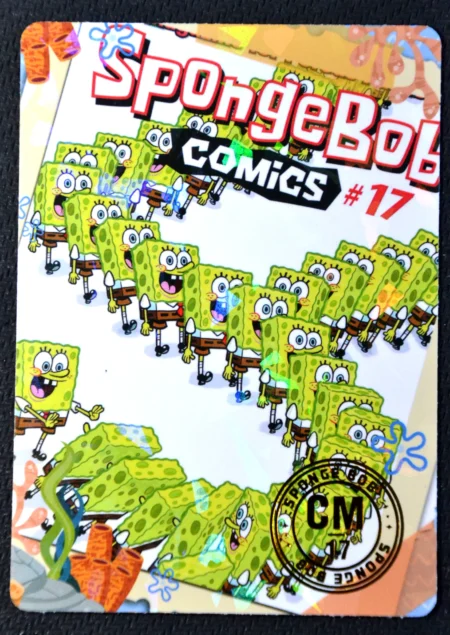 CM n°17