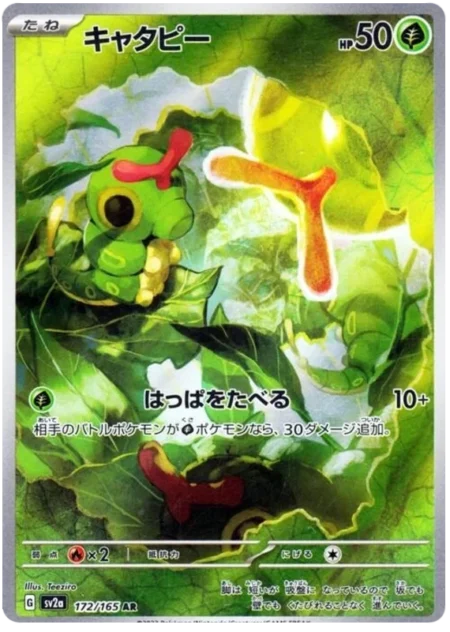 Chenipan 172/165