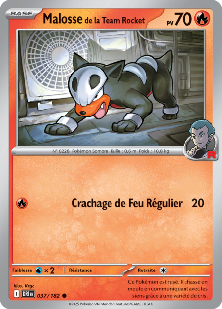 Malosse de la Team Rocket 037/182