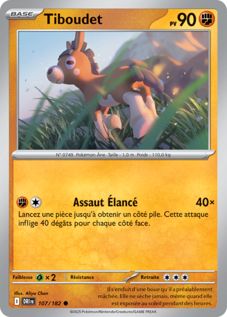 Tiboudet 107/182