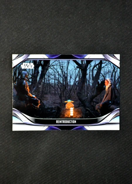Reintroduction n°125