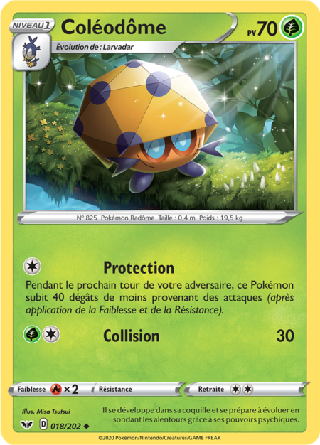 Coléodôme 018/202
