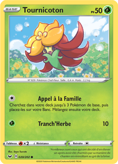 Tournicoton 020/202