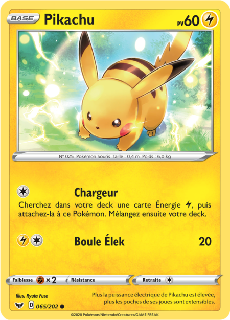 Pikachu 065/202