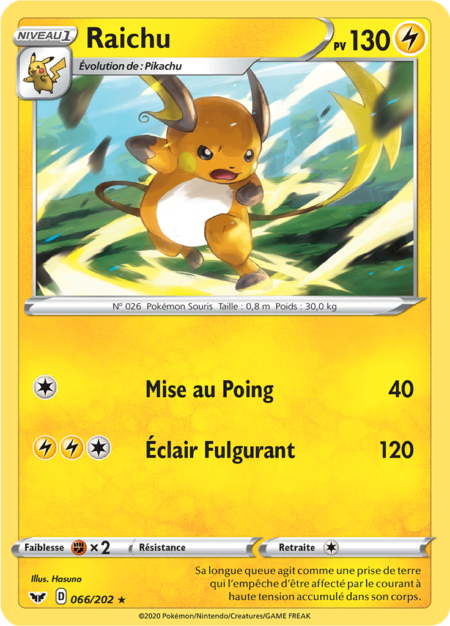 Raichu 066/202