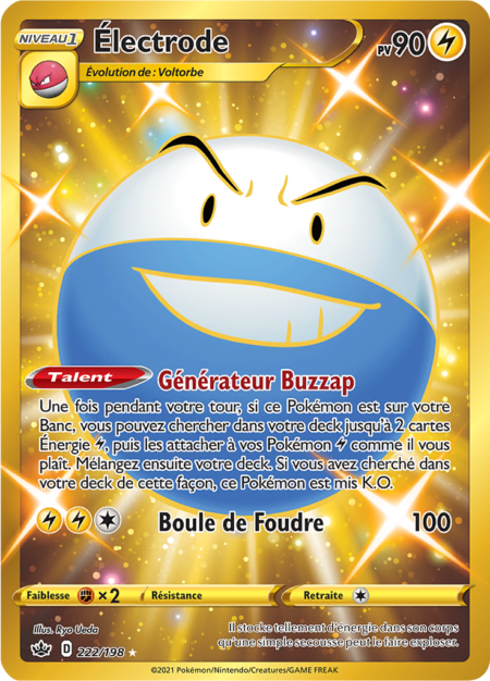 Électrode 222/198