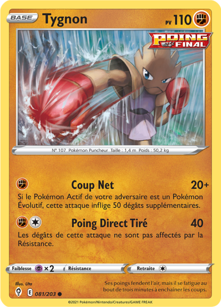 Tygnon 081/203