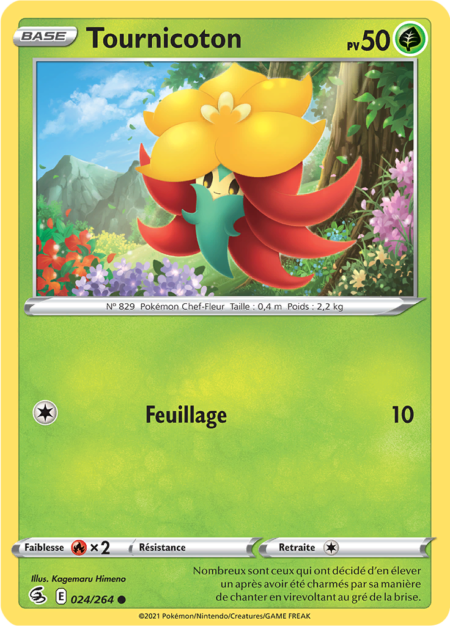 Tournicoton 024/264
