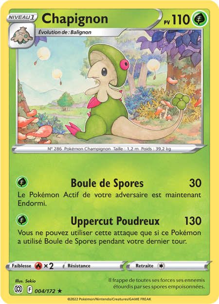 Chapignon 004/172