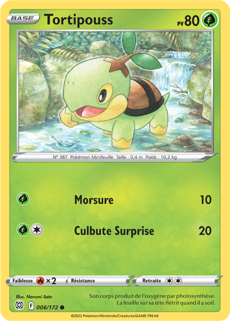 Tortipouss 006/172