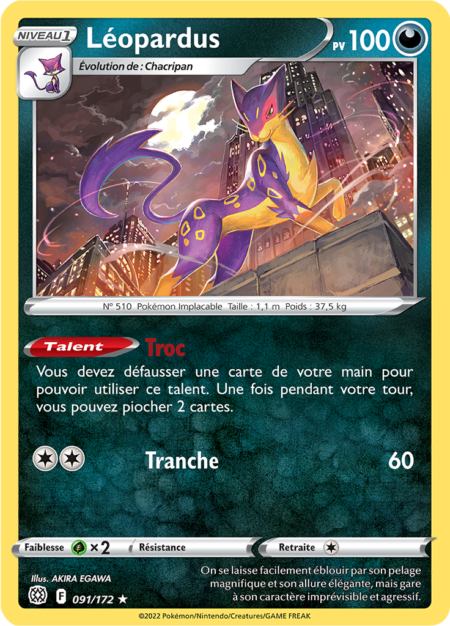 Léopardus 091/172