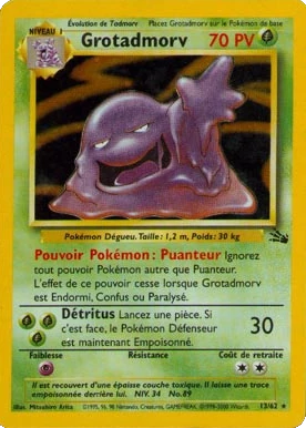 Grotadmorv 13/62 (Holographique)
