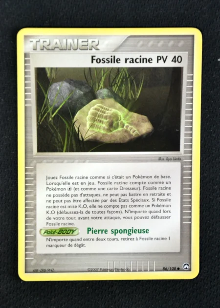 Fossile racine PV 40 86/108