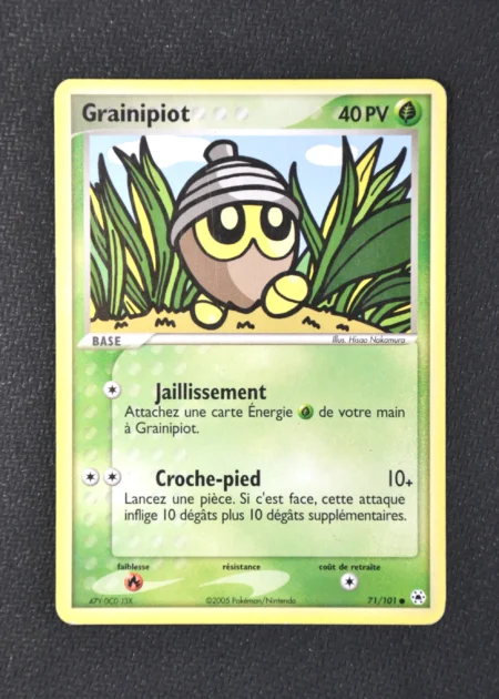 Grainipiot 71/101