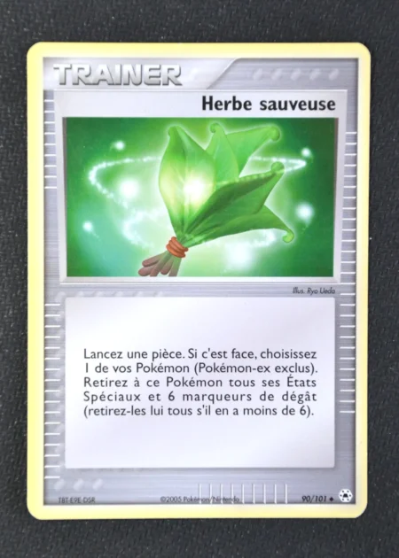 Herbe sauveuse 90/101