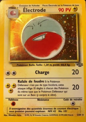 Électrode 2/64 (Holographique)