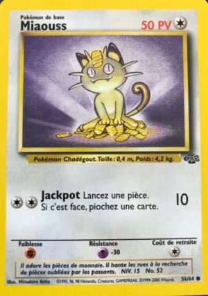 Miaouss 56/64