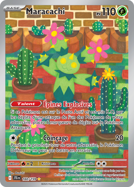Maracachi 160/159