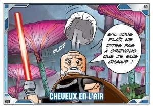 Cheveux en l'air (BD) 209/222
