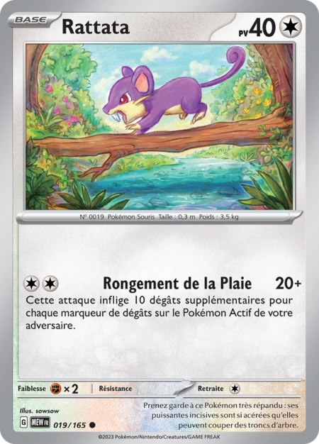 Rattata 019/165