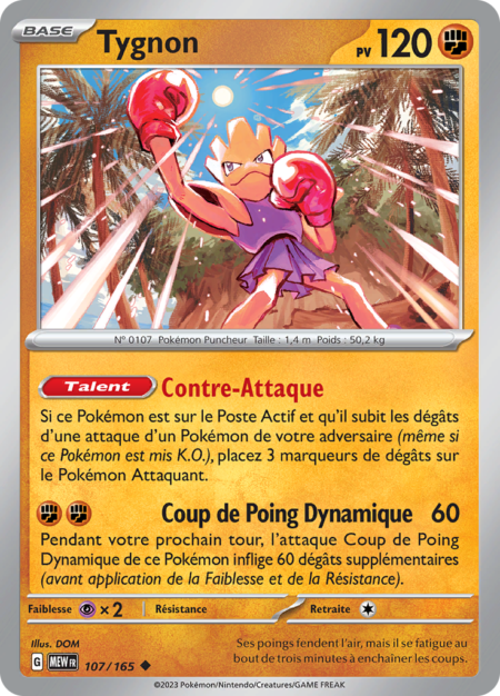 Tygnon 107/165
