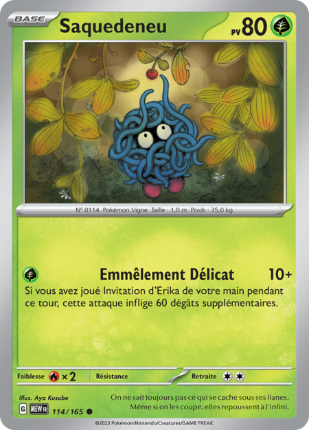 Saquedeneu 114/165