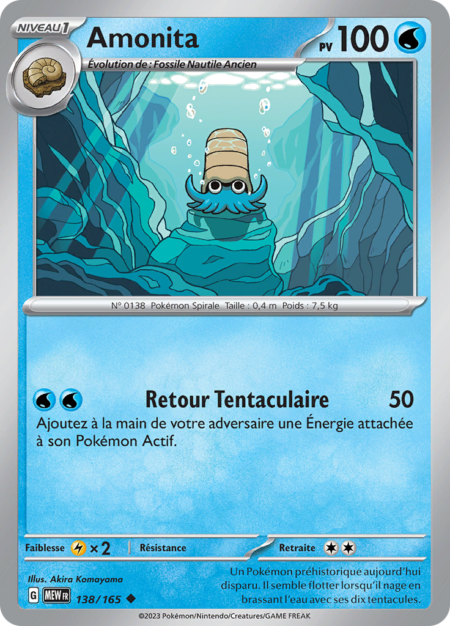 Amonita 138/165