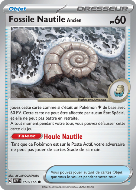Fossile Nautile Ancien 153/165