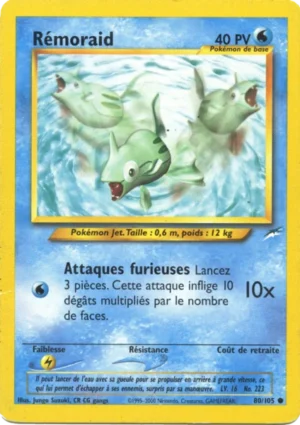 Rémoraid 80/105