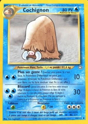 Cochignon 44/111