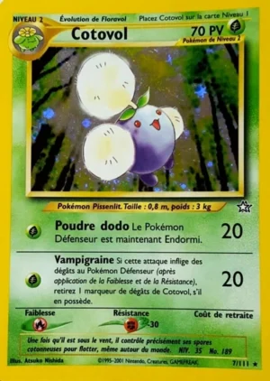 Cotovol 7/111 (Holographique)