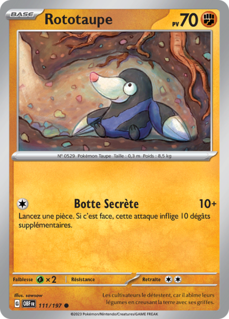 Rototaupe 111/197