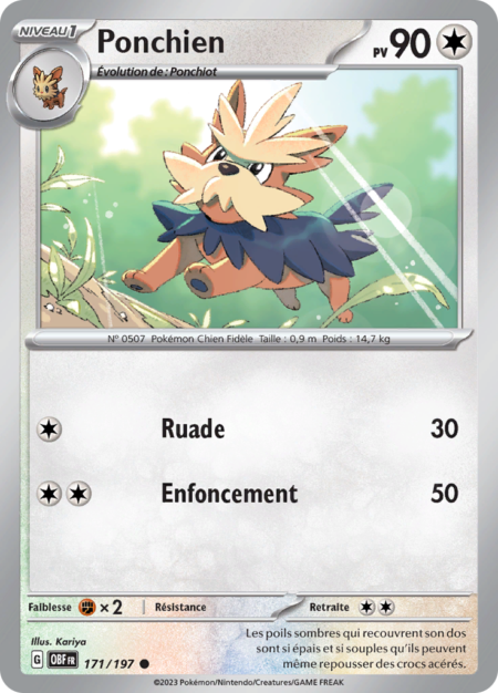 Ponchien 171/197
