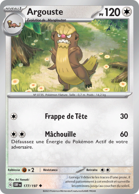 Argouste 177/197