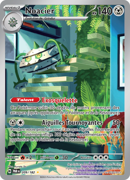 Noacier 209/182