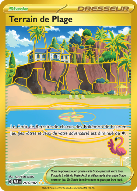Terrain de Plage 263/182