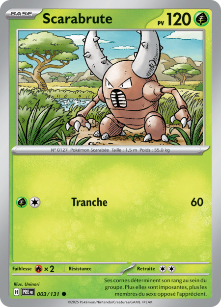 Scarabrute 003/131