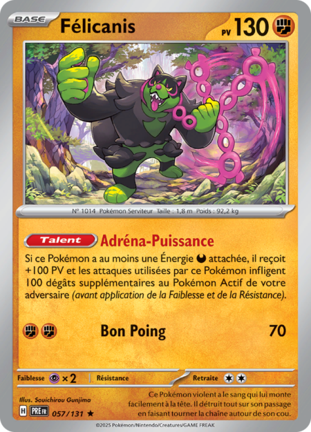 Félicanis 057/131