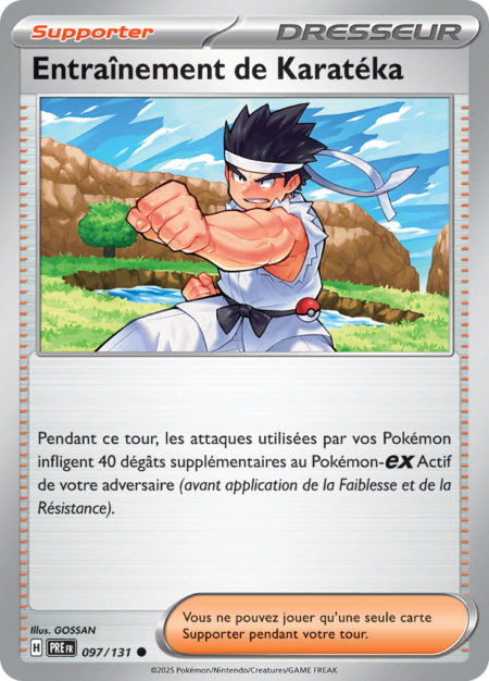 Entraînement de Karatéka 097/131