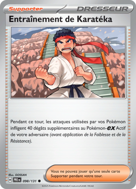 Entraînement de Karatéka 098/131