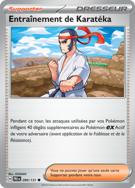 Entraînement de Karatéka 099/131