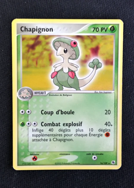Chapignon 16/109