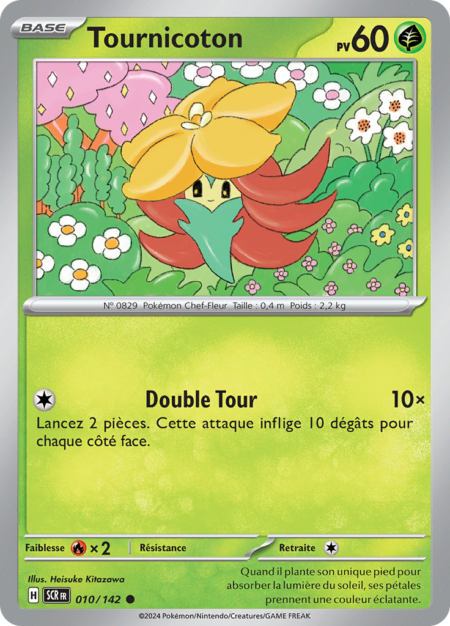 Tournicoton 010/142